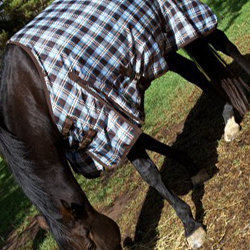 Multi needle quilting for equestrian